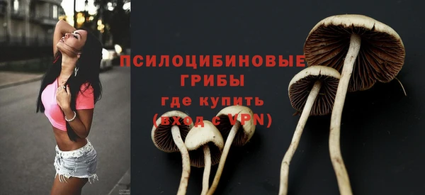 дживик Ладушкин