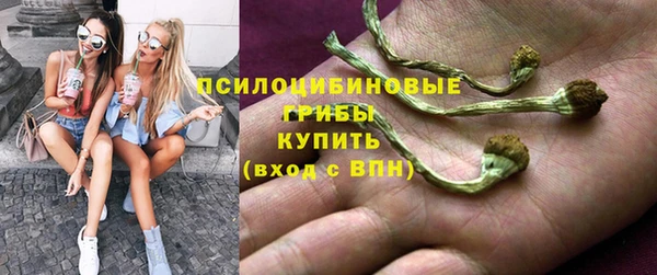 амф Кукмор