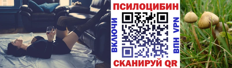 Псилоцибиновые грибы MAGIC MUSHROOMS Чита