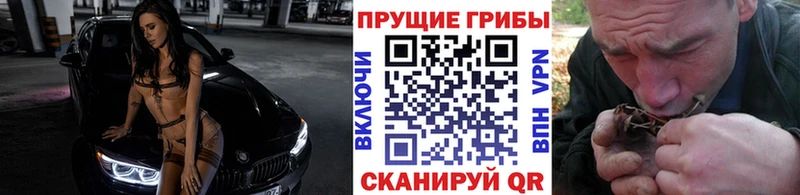 Псилоцибиновые грибы Magic Shrooms  Купить где  Чита 